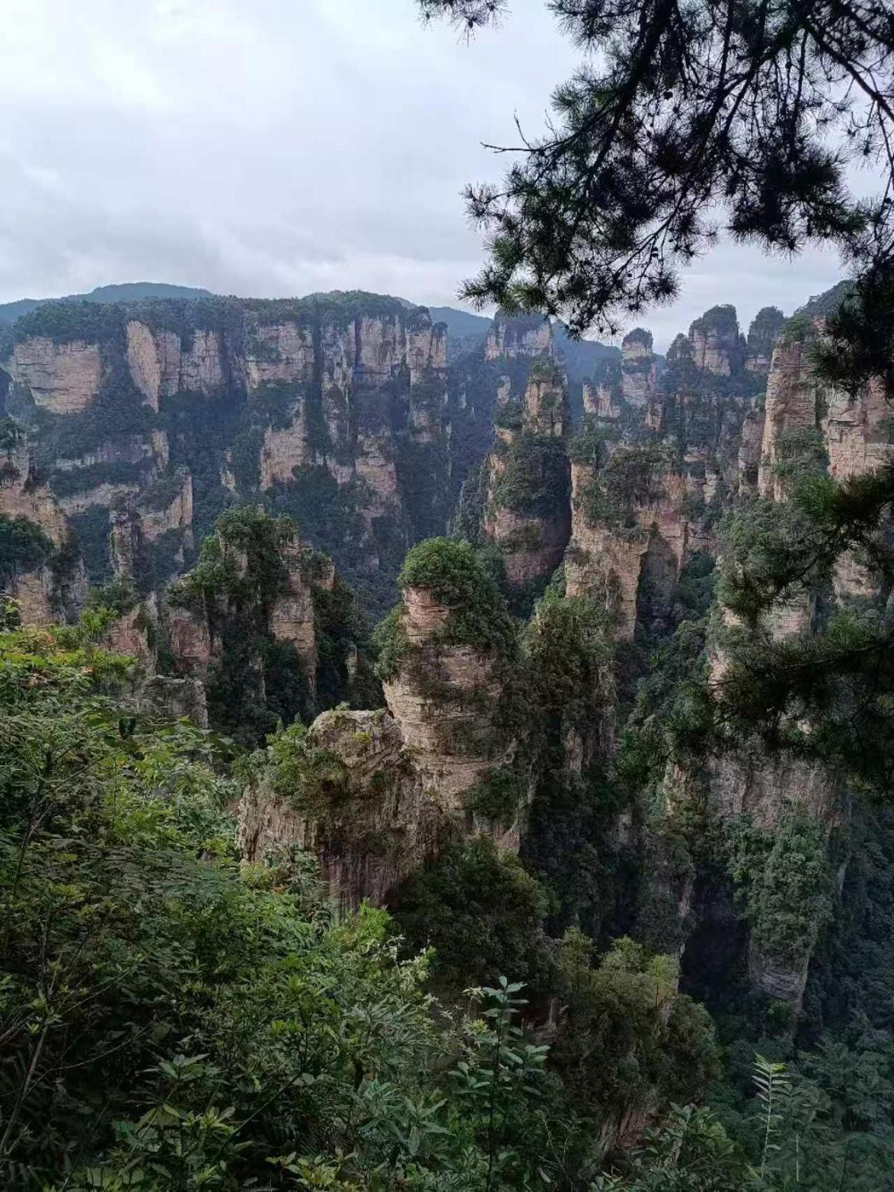 Family Hotel Zhangjiajie Exterior foto